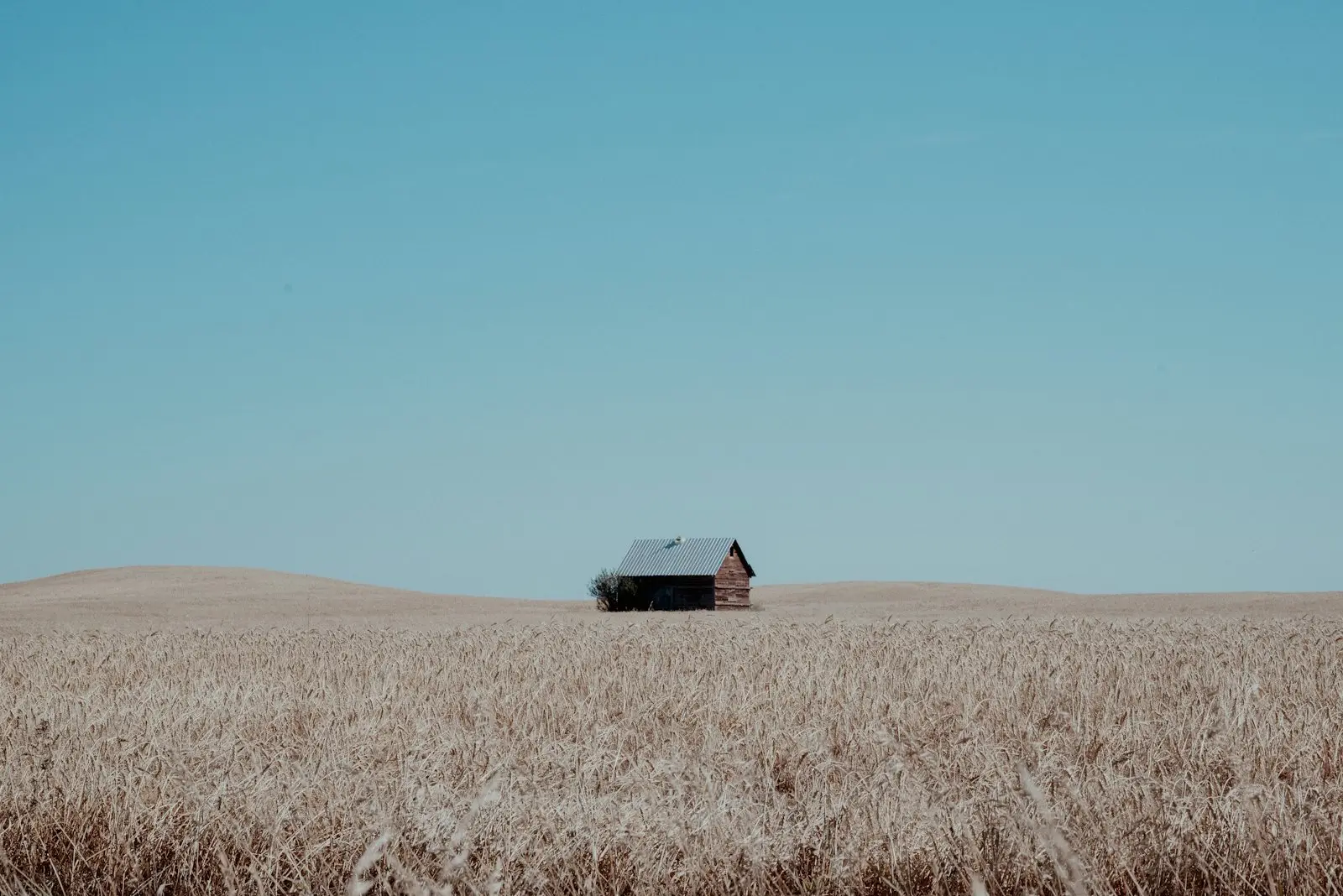 Single farmhouse