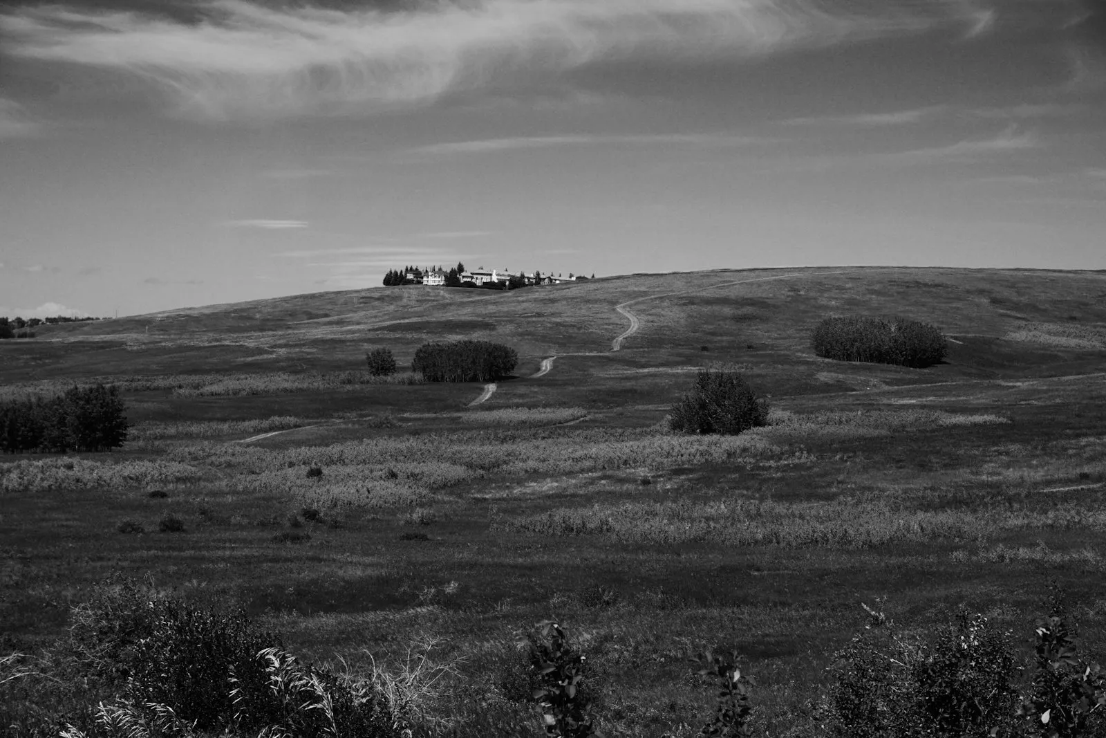 Hayfield after rain, from Open Country