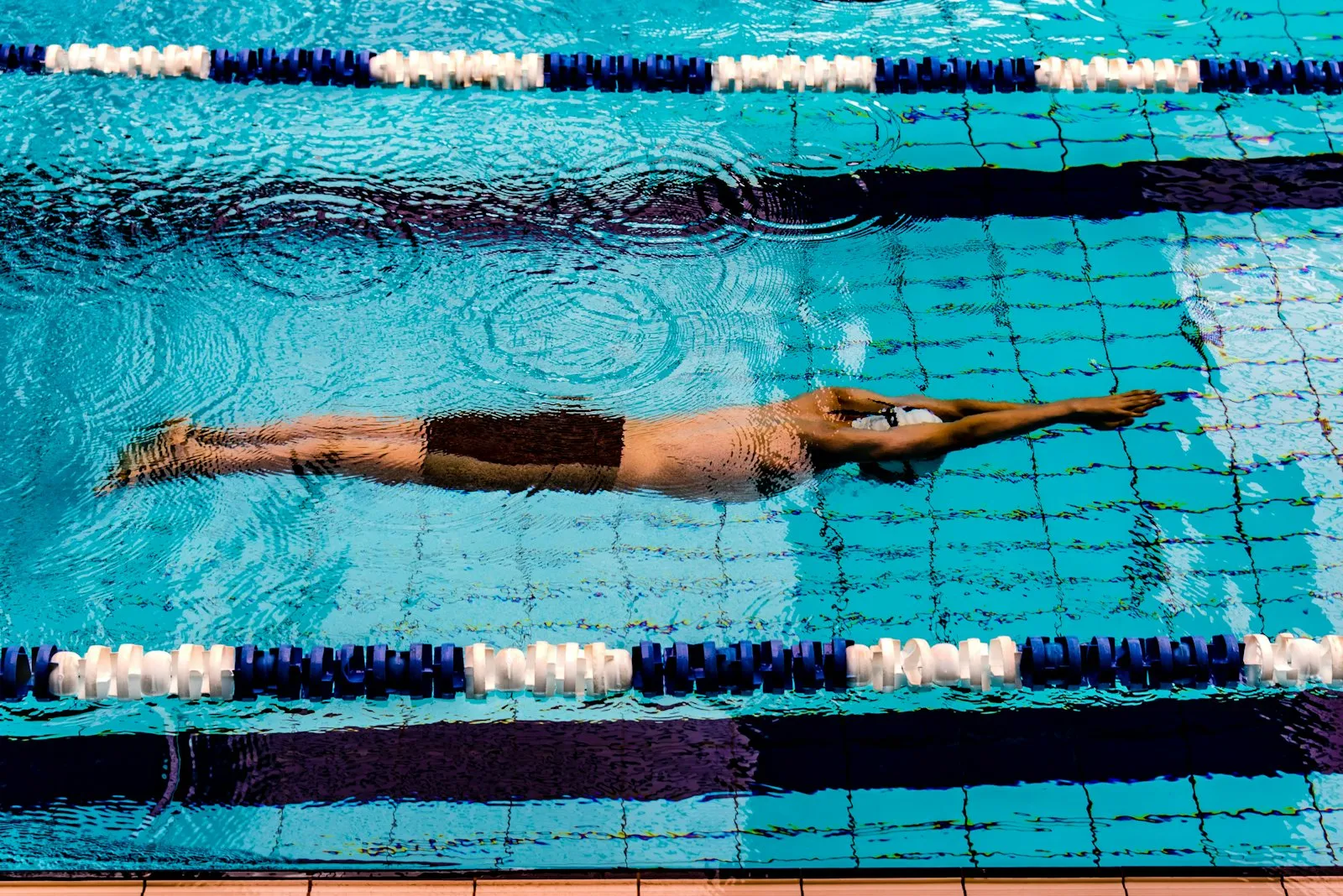 Butterfly, lane four, from Lanes